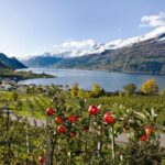 1 private day tour hardanger fjord cruise voringsfoss waterfall Private Day Tour - Hardanger Fjord Cruise & Vøringsfoss Waterfall
