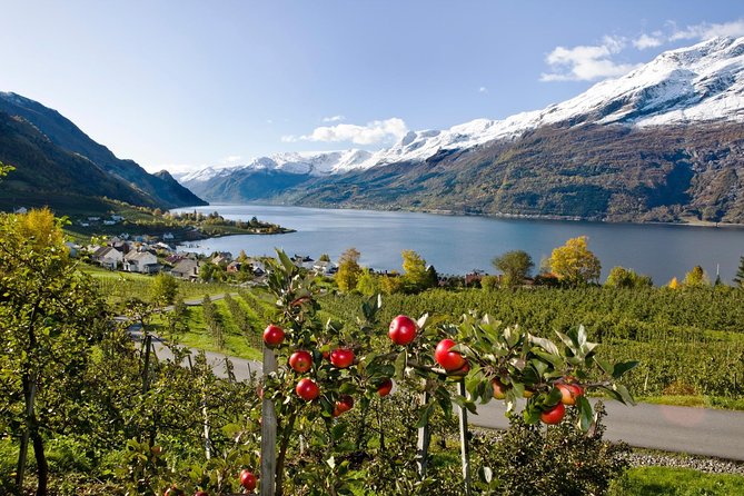Private Day Tour – Hardanger Fjord Cruise & Vøringsfoss Waterfall