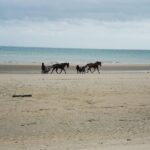 1 private day tour including normandy landing beaches battlefields from bayeux Private Day Tour Including Normandy Landing Beaches & Battlefields From Bayeux