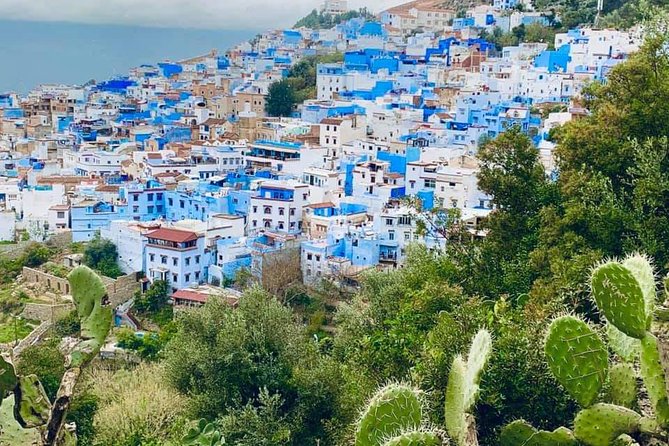 Private Day Tour to Chefchaouen From Tangier
