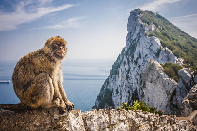 *Private Day Trip* Gibraltar and Vejer From Cádiz