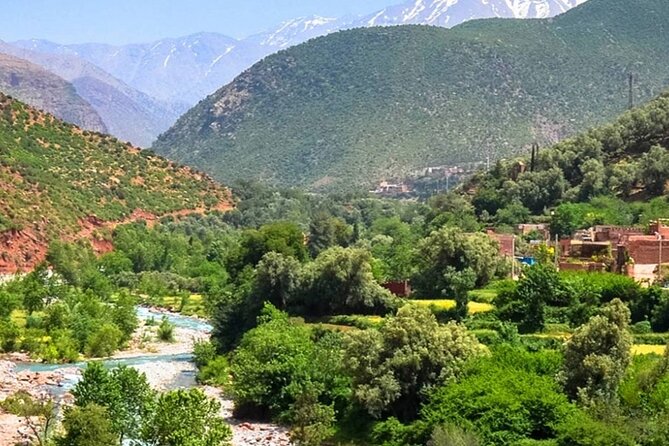 Private Day Trip to Atlas Mountains