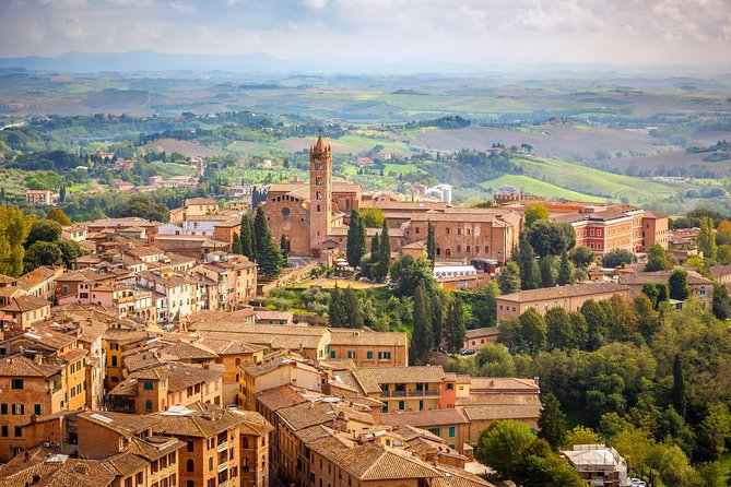 Private Day Trip to Siena, San Gimignano, Chianti and Pisa, From Florence