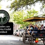 1 private daytime or evening horse drawn carriage tour of historic charleston Private Daytime or Evening Horse-Drawn Carriage Tour of Historic Charleston