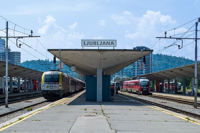 Private Direct Transfer From Vienna to Ljubljana, Local Driver
