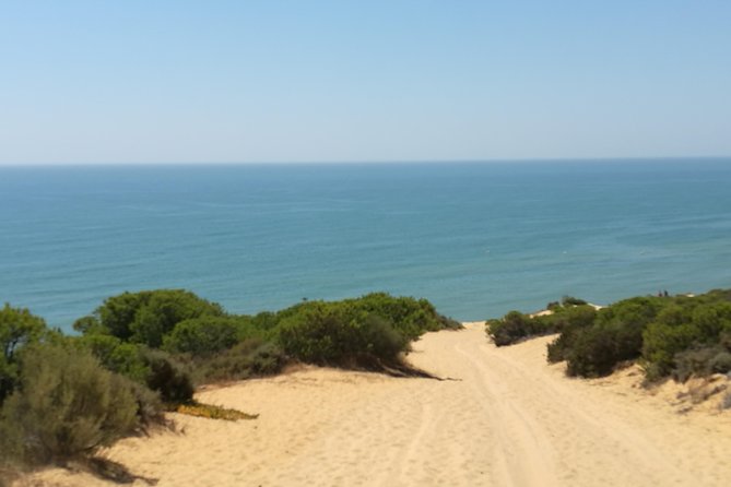 Private Donana National Park and El Rocío: 4×4 Guided Day Tour From Seville
