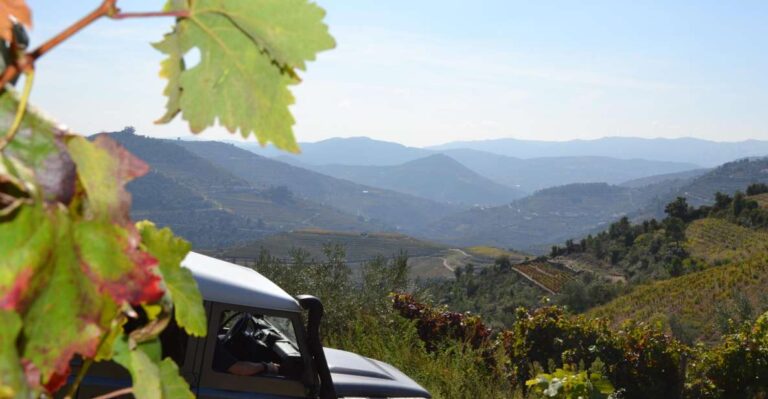 Private Douro Valley 4WD Tour With Wine Tasting and Picnic
