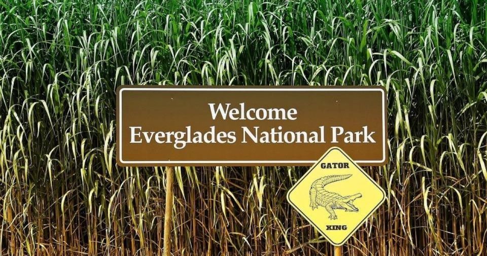 1 private everglades tourexplore the beauty of the everglades Private Everglades Tour:Explore the Beauty of the Everglades