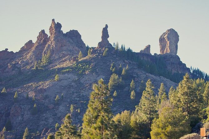 Private Excursion the Mountains of Gran Canaria for 2 to 4 People