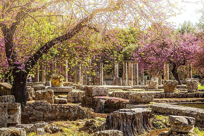 Private Excursion to Ancient Olympia – Bee Farm & Winery