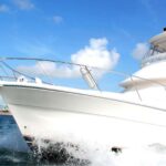1 private fishing charters gone dog 37 boat offshore trip Private Fishing Charters "Gone Dog" 37' Boat Offshore Trip