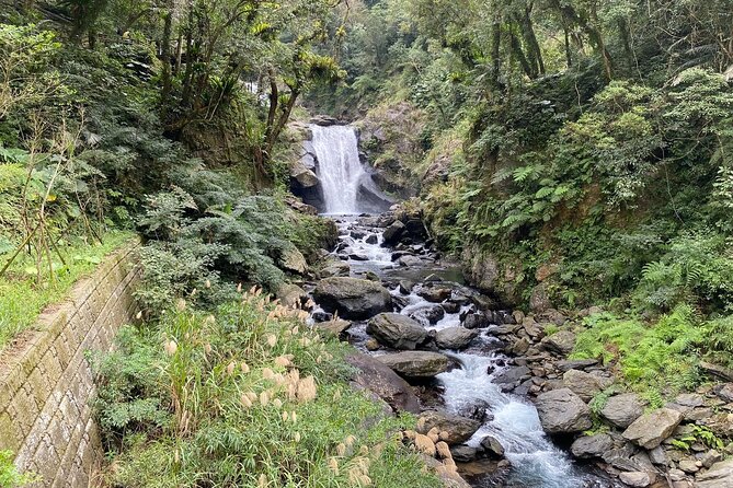 Private Forest Trail Day Tour in New Taipei