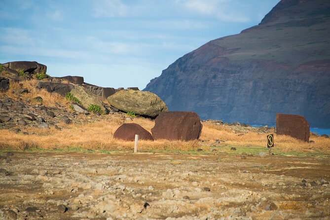 Private Full-Day Easter Island Highlights South and East