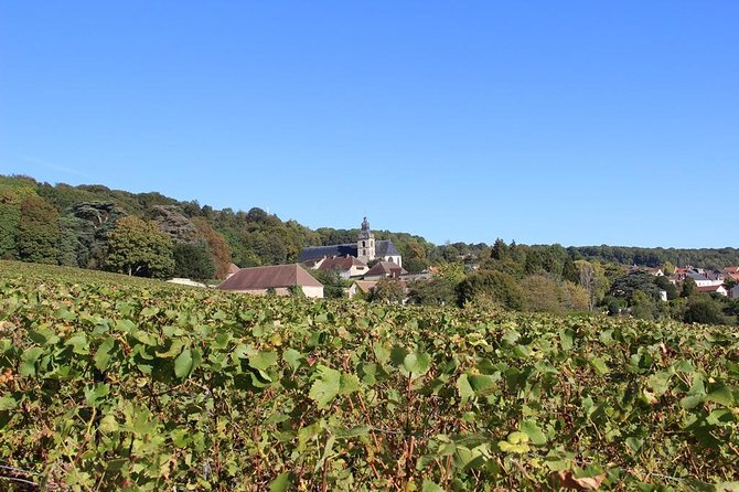 Private Full-Day Tour of Champagne Region - Customer Reviews