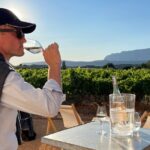 1 private full day wine tour in provence Private Full Day Wine Tour in Provence