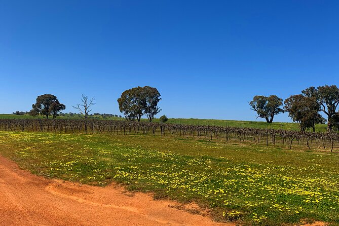 Private Full-Day Wineries Tour With Lunch, Canberra Region (Mar )