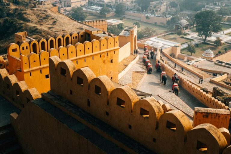 Private Guided City Tour of Amer Fort and Jaipur