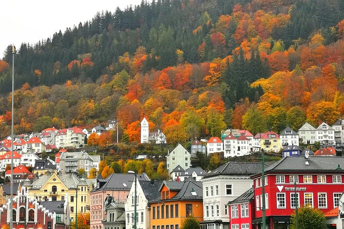 Private Guided Tour of Bergen With Transportation
