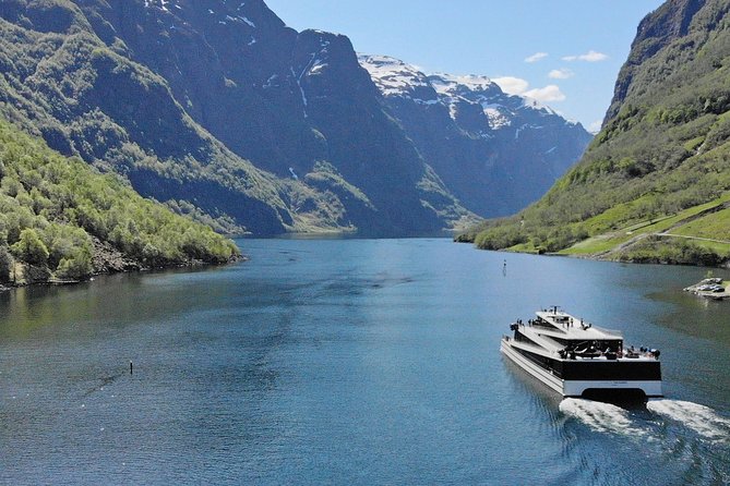 1 private guided tour premium naeroyfjord cruise and flam railway 2 Private Guided Tour - Premium Nærøyfjord Cruise and Flåm Railway