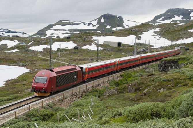 Private Guided Tour to Oslo – Nærøyfjord Cruise & Flåm Railway