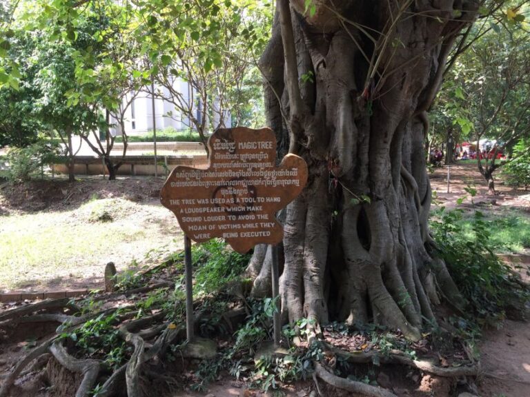 Private Half Day to Killing Field and S21 Genocidal Museum