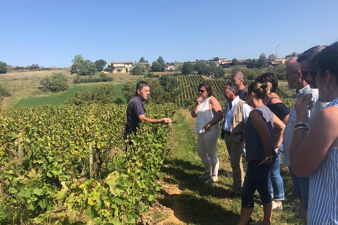 Private Half-Day Tour to Golden Stone Beaujolais With Tastings