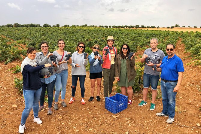 1 private half day wine tour near madrid rated unique and personalized Private Half-Day Wine Tour Near Madrid - Rated Unique and Personalized