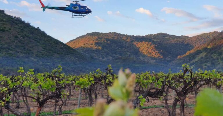 Private Helicopter Flight to Vineyard With Premium Tasting