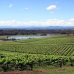 1 private hunter valley wine tasting day tour from sydney Private Hunter Valley Wine-Tasting Day Tour From Sydney
