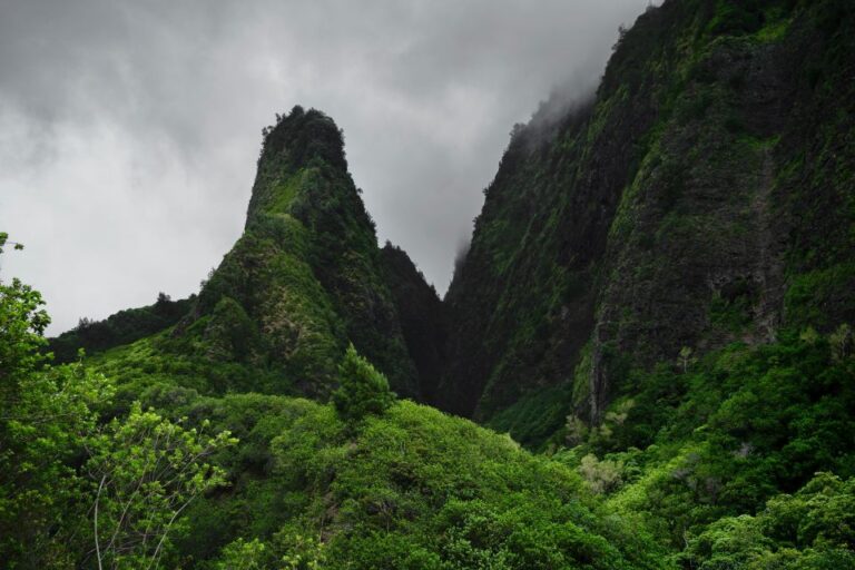 Private Iao Valley/Upcountry VIP Farm Tour- Full Day
