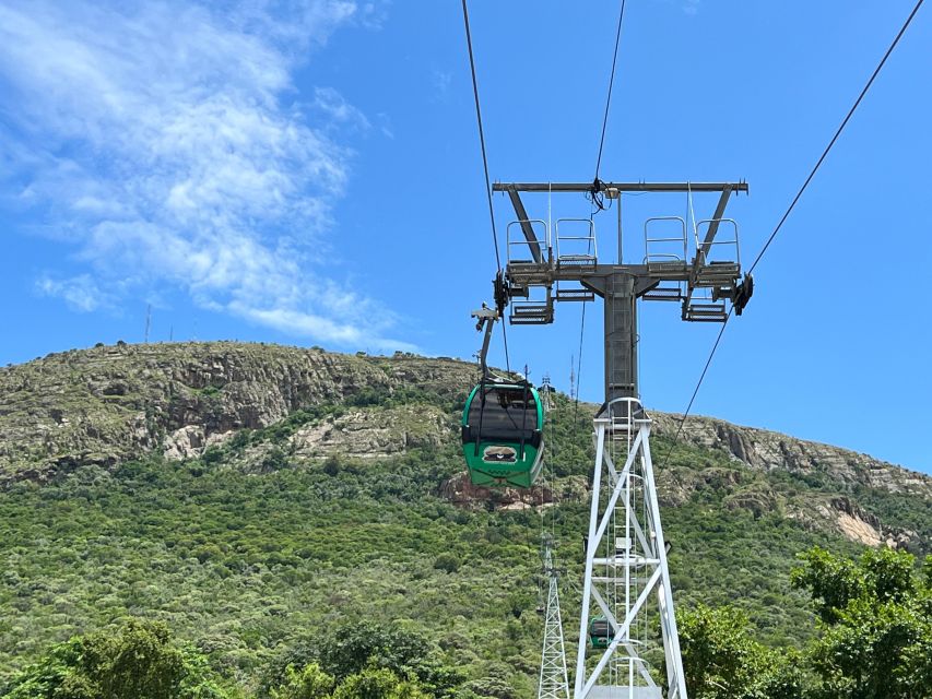 1 private johannesburg wine tasting and cableway half day tour Private Johannesburg Wine Tasting and Cableway Half Day Tour