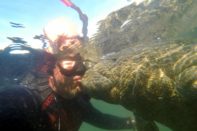 Private Manatee Swim for up to 6 With In-Water Divemaster/Photographer