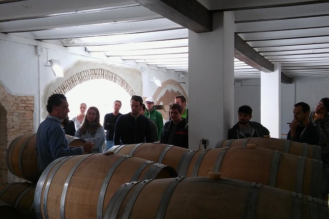 Private Morning Wine and Winery Tour and Tasting From Valencia