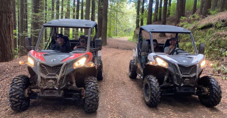 Private Off-Road Buggy Driving Experience (Pickup Included)