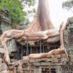 1 private one day tour with sunrise at angkor wat Private One Day Tour With Sunrise at Angkor Wat