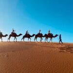 1 private sahara discovery tour from marrakech to fez in 4wd Private Sahara Discovery Tour From Marrakech to Fez in 4WD