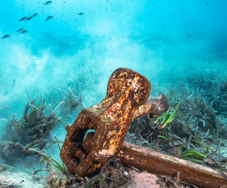 1 private sea nic sip n snorkel on a semi submersive craft Private Sea-Nic, Sip N' Snorkel on a Semi-Submersive Craft