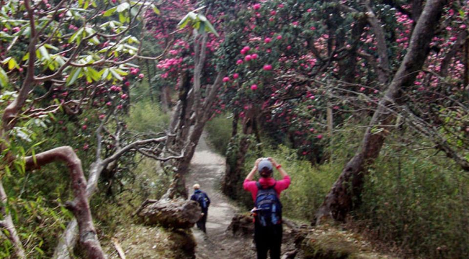 1 private shivapuri day hiking from kathmandu Private Shivapuri Day Hiking From Kathmandu