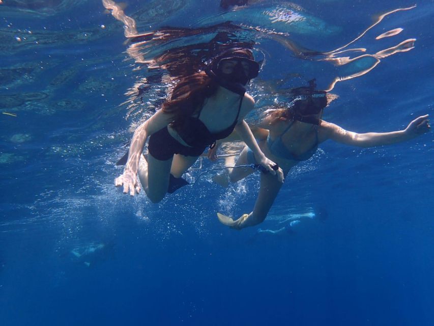 1 private snorkeling family or group at menjangan island Private Snorkeling Family or Group at Menjangan Island