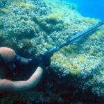 1 private spearfishing trip from athens Private Spearfishing Trip From Athens