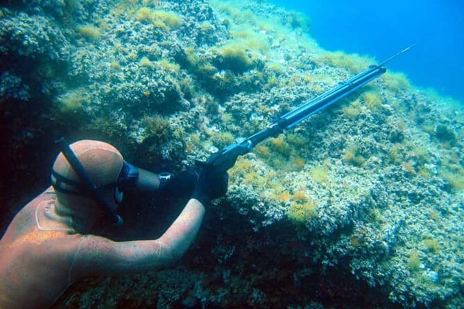 Private Spearfishing Trip From Athens