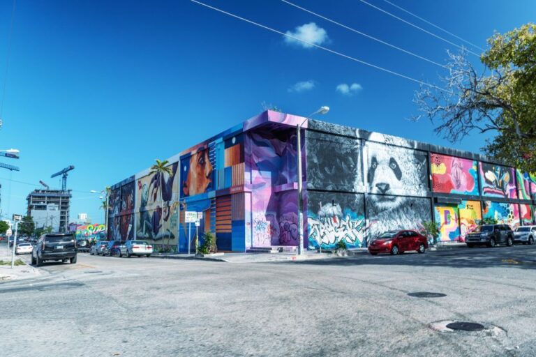 Private Street Art Tour in Miami