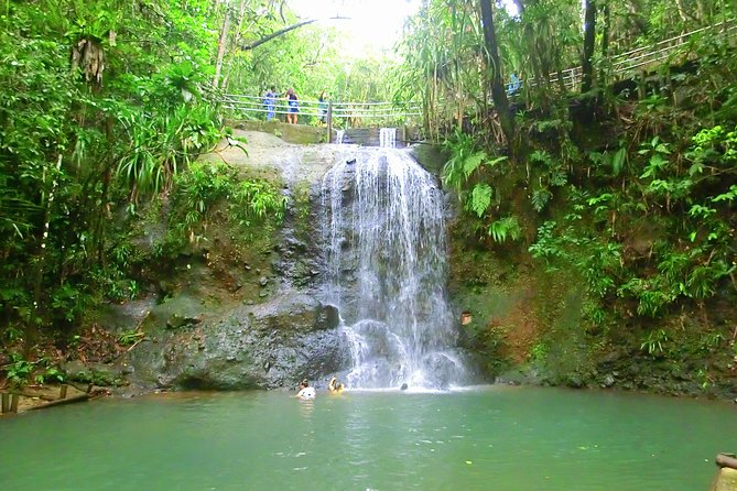 Private Suva Nature and Waterfall Tour
