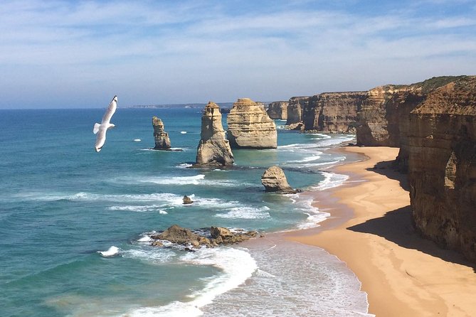 [PRIVATE TOUR] 12 Apostles Great Ocean Road Day Trip