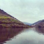1 private tour douro valley wine and food from oporto Private Tour: Douro Valley Wine and Food From Oporto