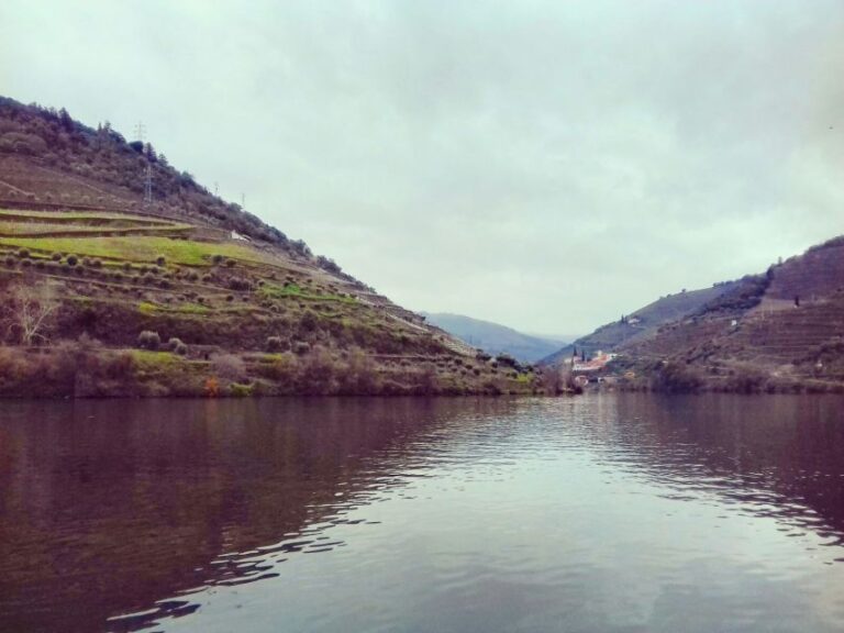 Private Tour: Douro Valley Wine and Food From Oporto