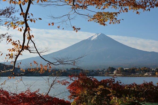 Private Tour in Mt Fuji and Hakone With English Speaking Driver