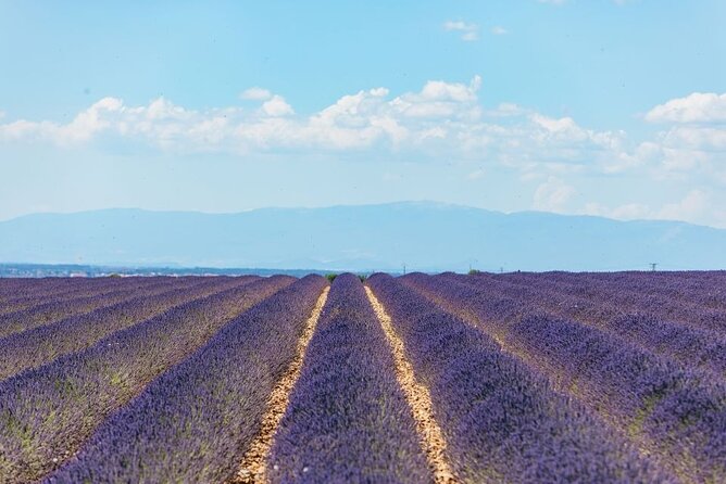 1 private tour of gorges of verdon and fields of lavender in nice Private Tour of Gorges of Verdon and Fields of Lavender in Nice