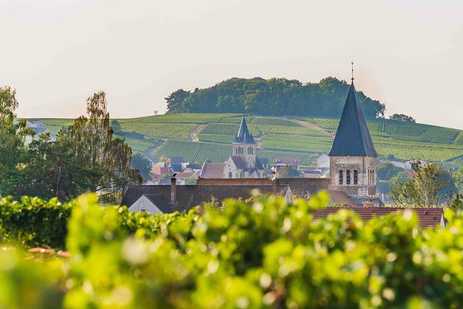 Private Tour of the Champagne Area, Meet Local Producers and Taste Their Champagne, Start From Your