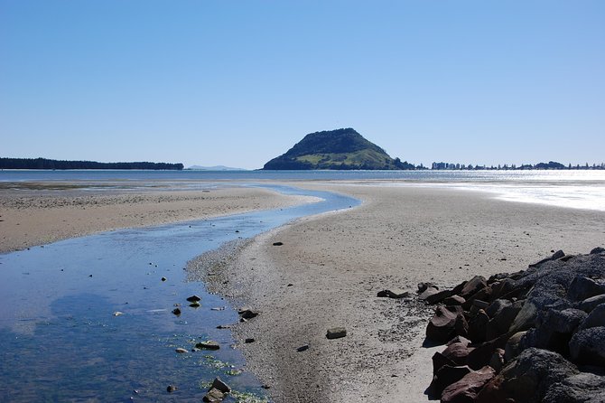 Private Tour Tauranga Highlights Shore Excursion up to 8 Passengers